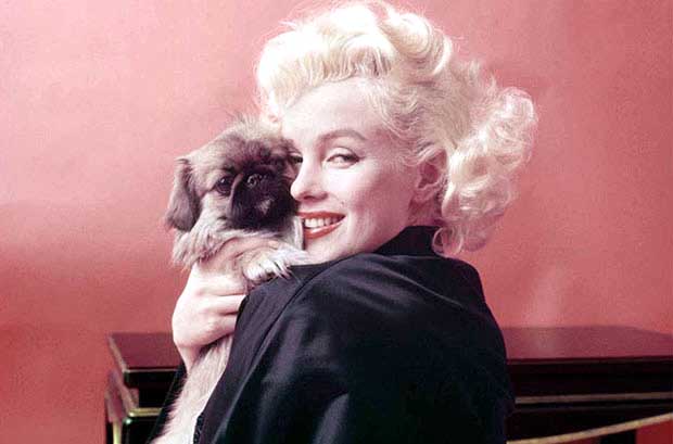 ИЗЛОЖБА ФОТОГРАФИЈА НАЈСЛАВНИЈЕ ПЛАВУШЕ: Срећан рођендан госпођице Монро